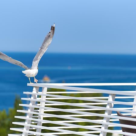 Hotel Albatros Plava Laguna Poreč Dış mekan fotoğraf